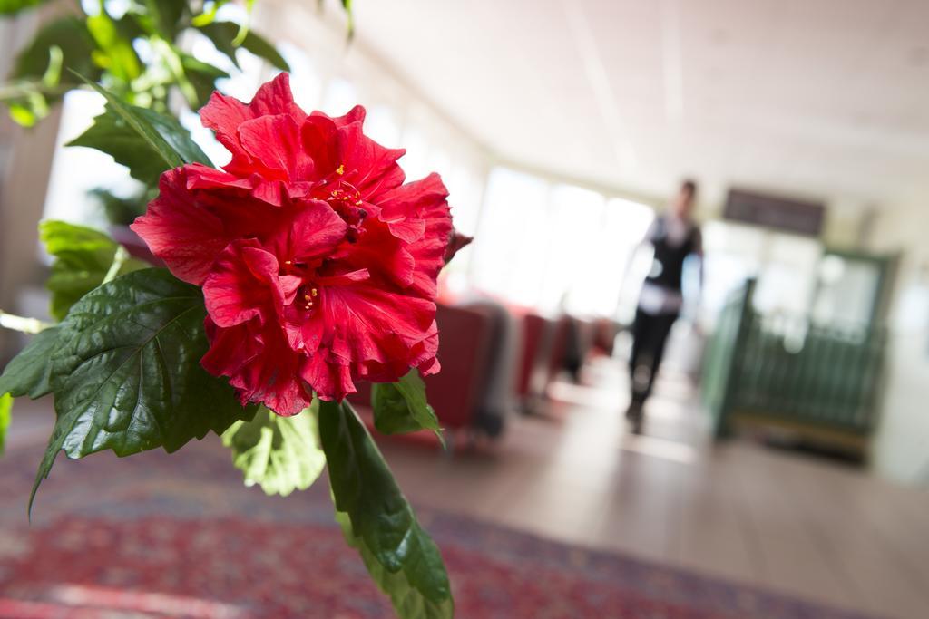Best Western Hotell Lerdalshoejden Rättvik Esterno foto